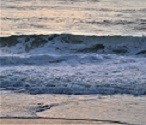 Ocean waves crashing on the beach